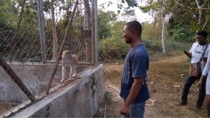 D:\My Journal\papers\Vol 2  issue 2\14 Abedeje\Plate 2.jpg