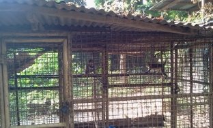 D:\My Journal\papers\Vol 2  issue 2\14 Abedeje\Plate 4.jpg